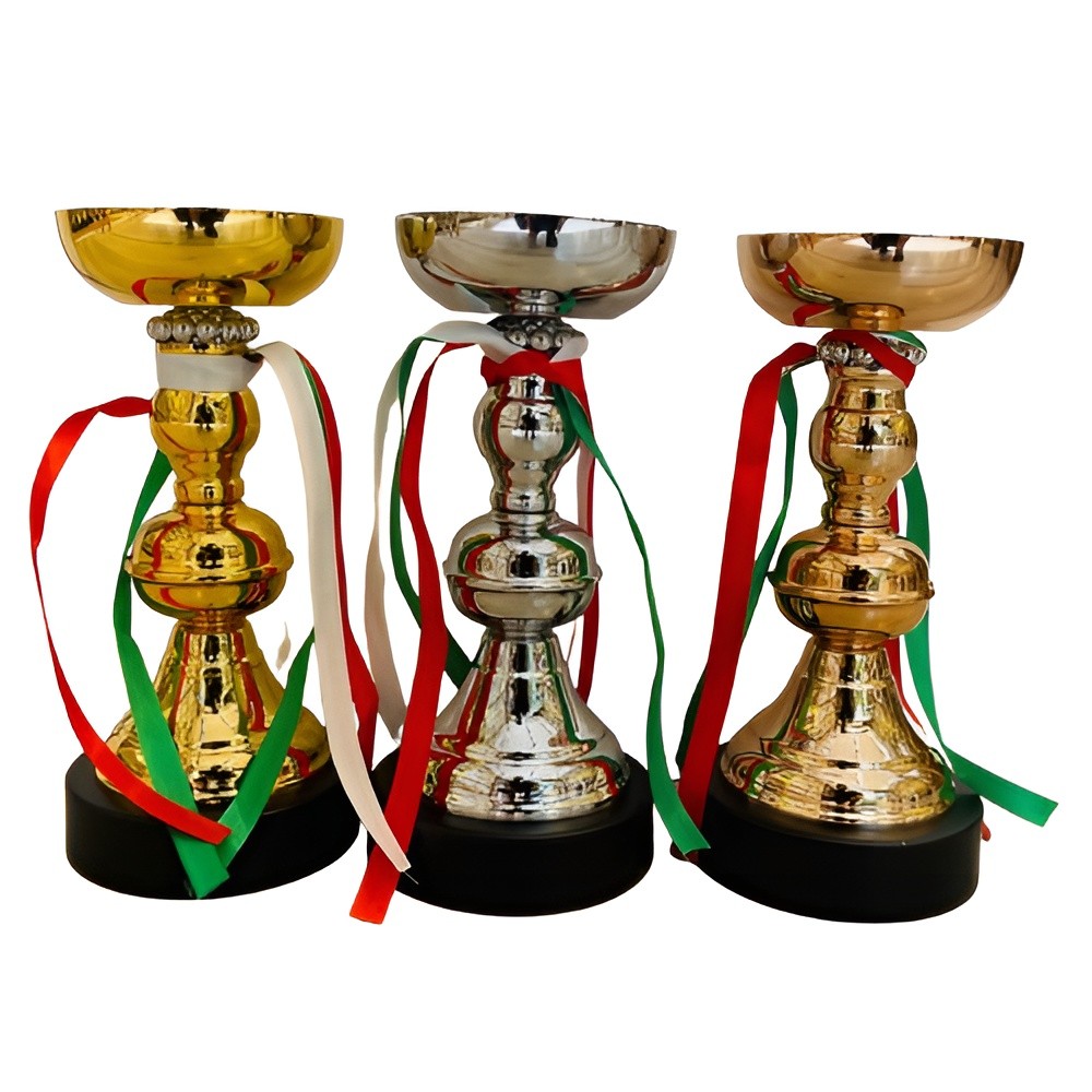 کاپ قهرمانی (جام قهرمانی) 27 سانتی اعلا (خرید قسطی و پس کرایه)
