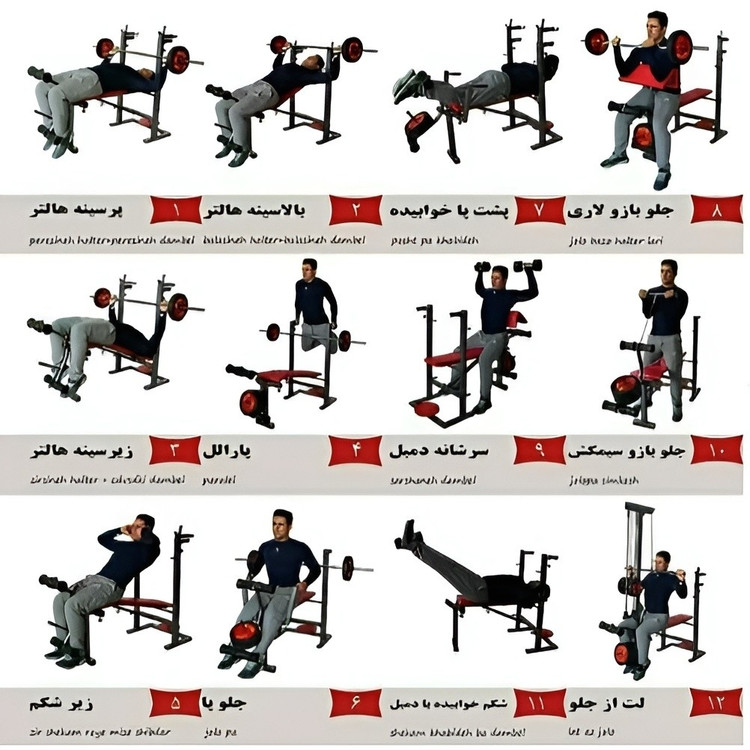 دستگاه بدنسازی 3 تا 52 کاره تاشو خانگی پروفیل 40 تا 60 (خرید قسطی و پس کرایه)